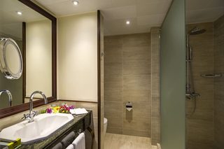 A modern bathroom with a sink, mirror, and shower.