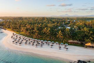 An aerial view of a beach with rows of sun umbrellas and lounge chairs, surrounded by palm trees and a clear sky.
