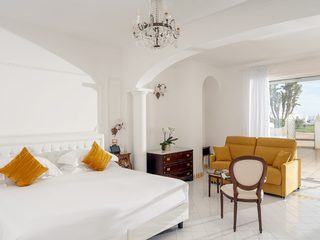 Premier Deluxe room park & pool side