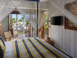 Tropical Room, photo 1