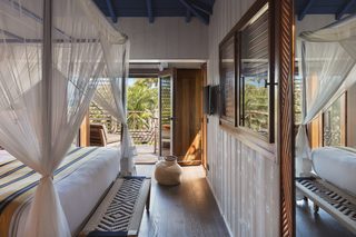 Tropical Room, photo 3