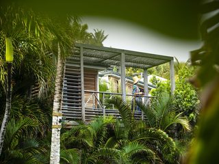 Tropical Room, photo 4