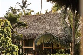 A thatched-roof building with a covered outdoor seating area, surrounded by lush greenery.
