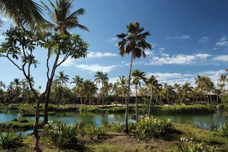 A tropical landscape with a calm lake, palm trees, and a small bridge.