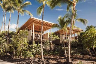 A modern house with a wooden deck, surrounded by palm trees and lush vegetation.